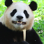 모닝바오~~ 이미지