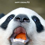 후락후락한 바부판다🐼 이미지