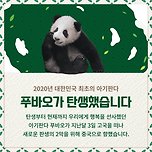 푸바오 서명에 동참해주세요 이미지