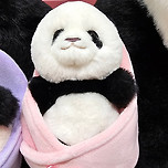 루이&amp;후이바오 인형 포대기 버전 🐼 이미지