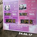 같은 시기의 푸바오 루이바오 후이바오 몸무게 차이🐼 이미지