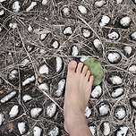 점심 시간 직장인 맨발걷기 이미지