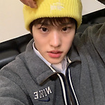 아기고슴도치 이미지