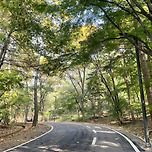 서울대공원 둘레길 입니다 이미지