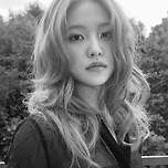 큰거온다 이미지