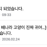 나 광주전남 통합반대 묵글 기부한 애인데 이미지