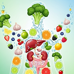 체내 독소 해독을 돕는 식품 알아보기 이미지