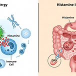 알레르기와 히스타민 불내증 이미지