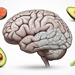 알츠하이머 치매 증상과 발병 원인, 뇌 건강을 위한 수칙 이미지