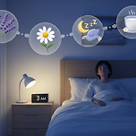 자다가 새벽에 깨는 이유 7가지와 불면증을 극복하는 방법 이미지