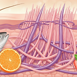 피부 탄력을 유지하는 콜라겐의 진실 이미지