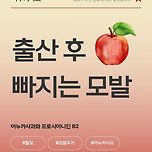 [탈모] 아누카사과 &amp;프로시아니딘 B2 이미지