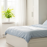 천식 환자에게 좋은 환경 관리법 이미지