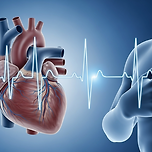 심장 두근거림 원인 불규칙한 맥박일 때 체크해야 할 질환 이미지