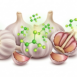 마늘 효능과 알리신의 놀라운 효과 이미지