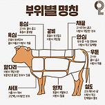 알아두면 평생 써먹는 소고기 부위별 특징 이미지