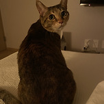 후덕한 등판과 그렇지 못한 얼굴 이미지