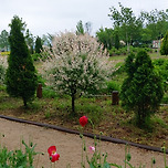 2025년 5월 10일 구리한강 유채꽃축제/k리그1 대전 하나시티즌 대 fc서울 중계방송 시청 이미지