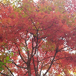 2024년 10월 27일 장자중학교앞/장자호수공원/아뜰리에05 장자호수점 이미지