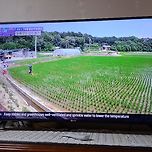 2025년 7월 9일 경북 영주 화기2리마을에 간 일꾼의 탄생 이미지