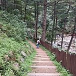 2025년 8월 3일 너래바우집/종로할머니칼국수 퇴계원점 이미지