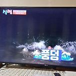 2025년 12월 28일 경남 남해에 간 1박2일 이미지