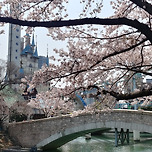 2024년 4월 7일 석촌호수/SETEC 서울국제불교박람회 이미지