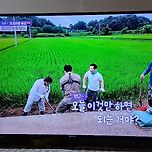 2025년 9월 10일 충남 서천 당포마을에 간 일꾼의 탄생 이미지