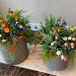 2024년 9월 7일 라루체웨딩홀/구리한강시민공원 전국노래자랑 구리시편 이미지