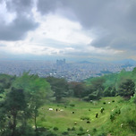 2024년 5월 20일 망우역사문화공원 이미지