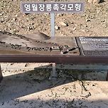2026년 4월 25일 영월군의 모든것 (Part 2) 이미지