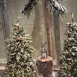 2025년 11월 8일 현대백화점 천호점/베즐리 현대백화점 천호점 이미지