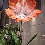 2025년 7월 19일 현대백화점 천호점 이미지