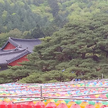 2025년 4월 22일 운문사 이미지