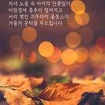 2024년 11월 11일 아침인사말 이미지