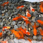 2025년 10월 11일 망우역사문화공원 이미지