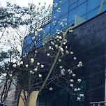 2025년 4월 10일 서애로 이미지