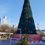 2024년 11월 29일 구리광장/구리역앞의 단풍 이미지