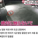오늘 길고양이 사고로 비상 걸린 일본 이미지