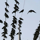 신궁으로 이름날렸던 우리나라 장수 이미지