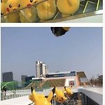 키 160미만 여자만 연락주세요 이미지