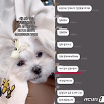 “너 때문에 죽는거야”…이별 통보 여친 반려견 쓰레기봉투 담아 버린 동거남 이미지