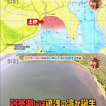 마리모가 둥글어질 수밖에 없는 기적적인 요소 3가지 이미지