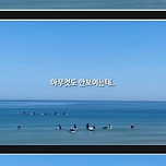 양양에 간 한 외국인의 의문 이미지