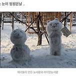 눈사람 부순 아파트 K-결말..... (훈훈함 주의) 이미지