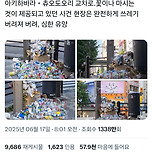 일본도 요즘 심하다는거 이미지