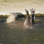 반신욕 말이야.. 이미지