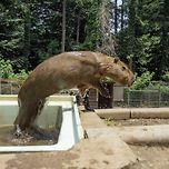 다들 더위 조심! 이미지