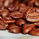 커피가 시작된 나라 ☕️ 이미지