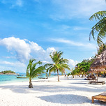 신혼여행 싸게가기 이미지